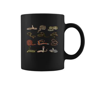 Different Types Of Snakes Boys Kids Girl Educational Serpent Gift Coffee Mug | Favorety