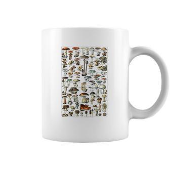 Vintage Mushrooms Chart Illustration Shroom Morel Hunter Coffee Mug | Favorety CA