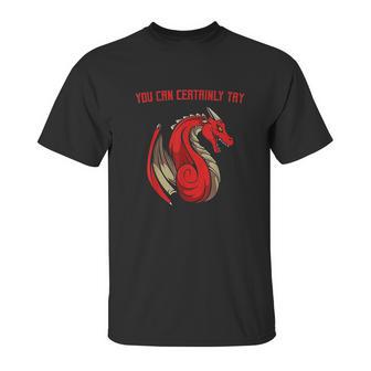 Dragon Fire You Can Certainly Try Dungeons Master Unisex T-Shirt | Favorety AU