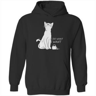 Hisayhe Funny Cat Do What I Want Cat Personality Graphic Hoodie | Favorety CA