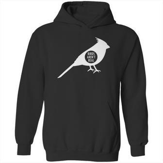 Birds Aren Real Slogan Hoodie | Favorety UK