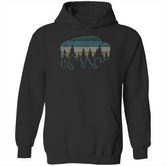 Bison American Buffalo Vintage Hoodie | Favorety AU