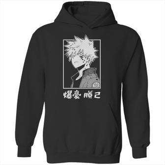 Boku No Hero Academia Hoodie | Favorety AU