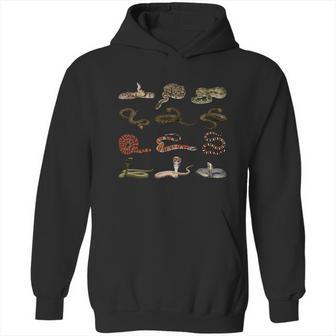 Different Types Of Snakes Boys Kids Girl Educational Serpent Gift Hoodie | Favorety UK