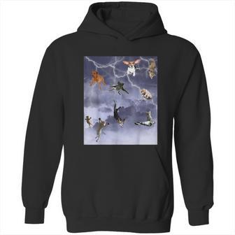 Funny Its Raining Cats And Dogs Hoodie | Favorety CA