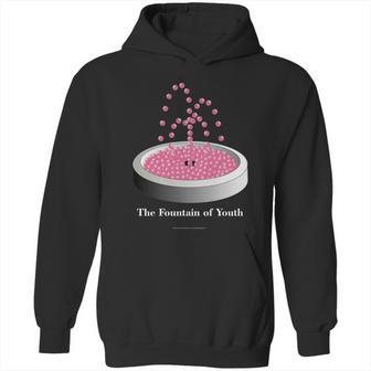 Pickleball Fountain Pink Hoodie | Favorety