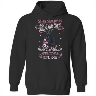 Salem Sanctuary For Wayward Cats Feral And Familiar Hoodie | Favorety UK