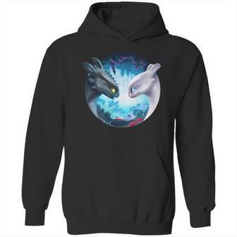 Toothless And Light Fury Hoodie | Favorety DE