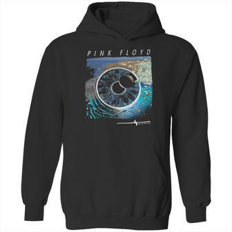 Vintage Pink Floyd Pulse 1995 Hoodie | Favorety AU