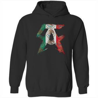 Wbc Boxer Canelo Alvarez Logo Hoodie | Favorety CA