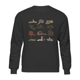 Different Types Of Snakes Boys Kids Girl Educational Serpent Gift Sweatshirt | Favorety DE