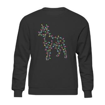 Doberman Pinscher Dogs Sweatshirt | Favorety DE