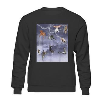 Funny Its Raining Cats And Dogs Sweatshirt | Favorety AU