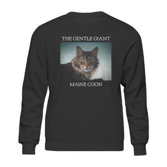 Gentle Giant Maine Coon Sweatshirt | Favorety UK