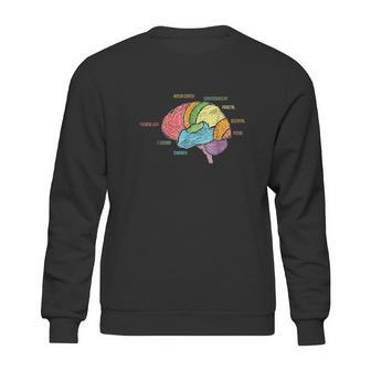 Parts Of The Brain Sweatshirt | Favorety DE