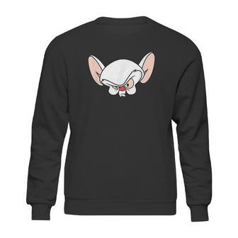 Pinky And The Brain Brain Sweatshirt | Favorety CA