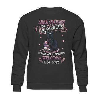 Salem Sanctuary For Wayward Cats Feral And Familiar Sweatshirt | Favorety UK