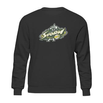 Seattle Storm Sweatshirt | Favorety