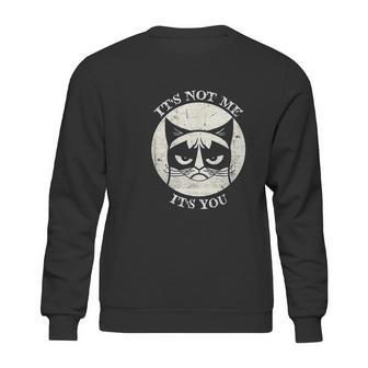 Siamese Cat Grumpy Funny Expression Its Not Me Its You Sweatshirt | Favorety AU