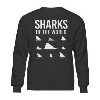 Types Of Shark Sharks Of The World Lovers Shark Fin Sweatshirt | Favorety