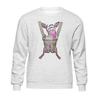 Black Chihuahua Dog In Baby Carrier With Bubble Gum Sweatshirt | Favorety