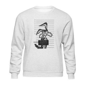 Looney Tunes Wile E Coyote Busted Sweatshirt | Favorety