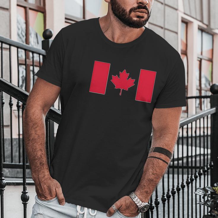 Ugp Campus Apparel Canadian Pride Canadian Providence Flags Men T-Shirt