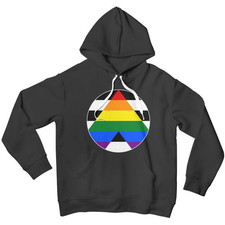 Ally Flag Circle Pyramid Pride Men Hoodie