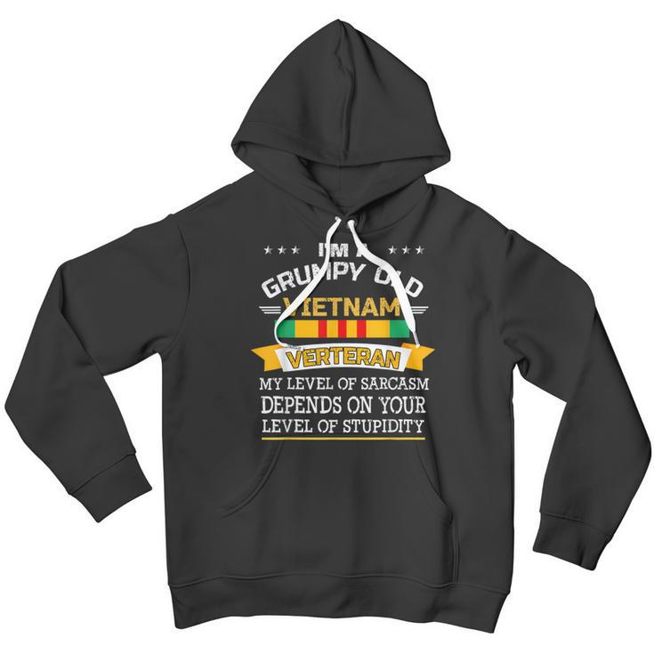 Im A Grumpy Old Vietnam Veteran Veterans Day Sarcasm Men Hoodie