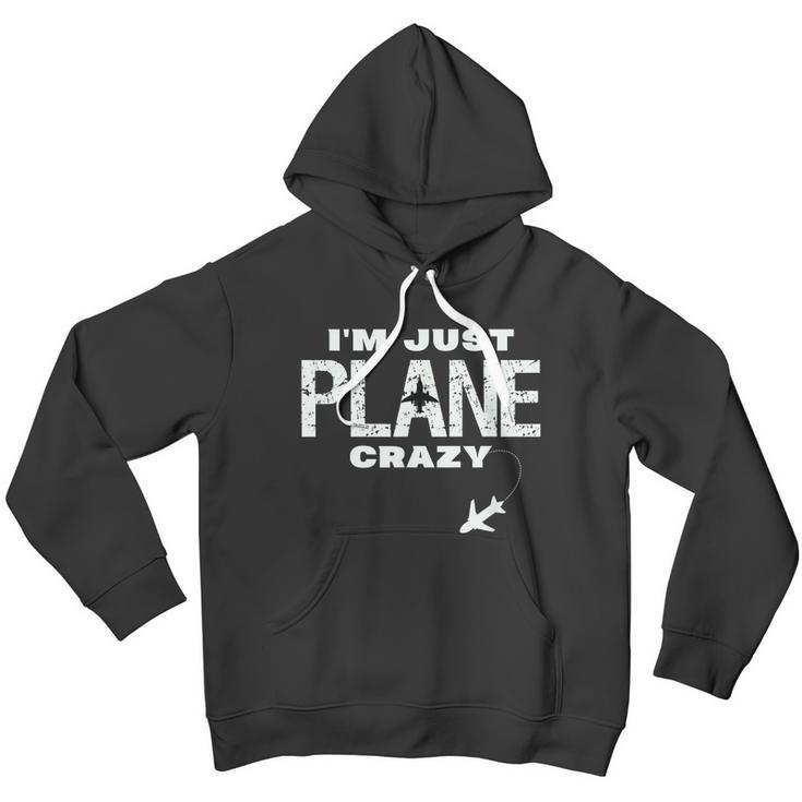 Im Just Plane Crazy Funny Dad Pilot Aviation Flying Men Hoodie