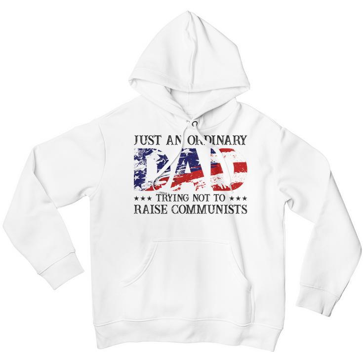 Mens Just An Ordinary Dad Trying Not To Raise Communist Men Hoodie