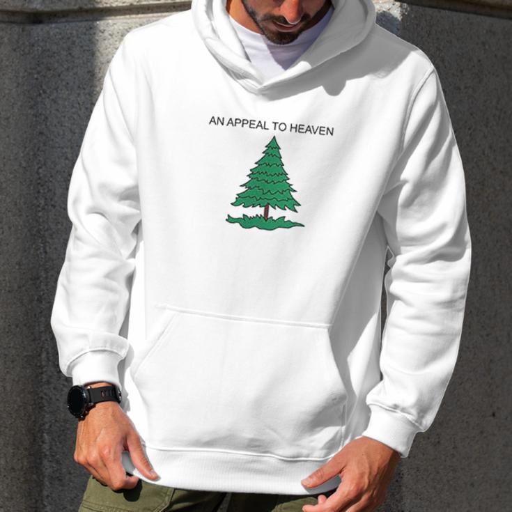 Cruisers Flag Men Hoodie