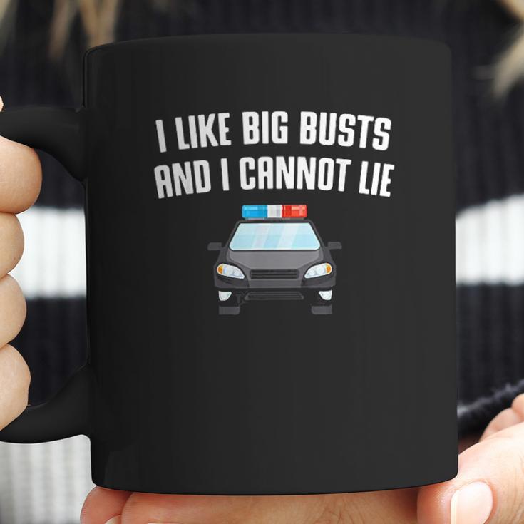 I Like Big Busts And I Cannot Lie Funny Coffee Mug