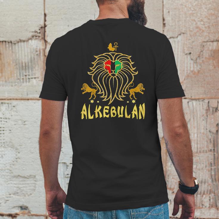 African Lion Rbg Ankh Mens Back Print T-shirt Funny Gifts