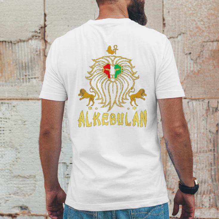 African Lion Rbg Ankh Alkebulan Kemetic Mens Back Print T-shirt Funny Gifts