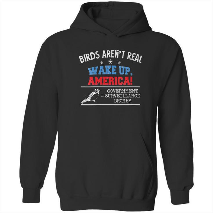 Birds Are Not Real Wake Up America Hoodie