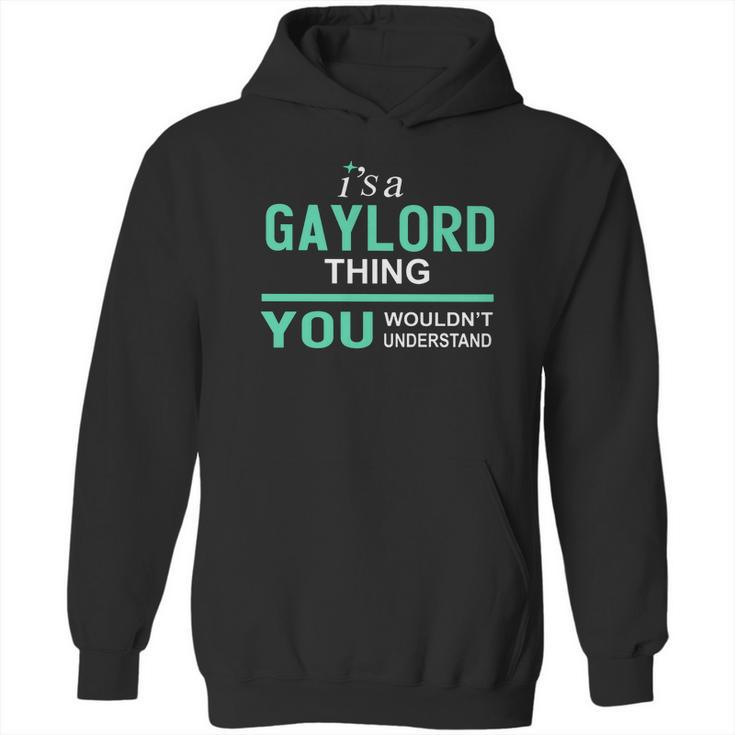 Gaylord Thing - Teeforgaylord Hoodie