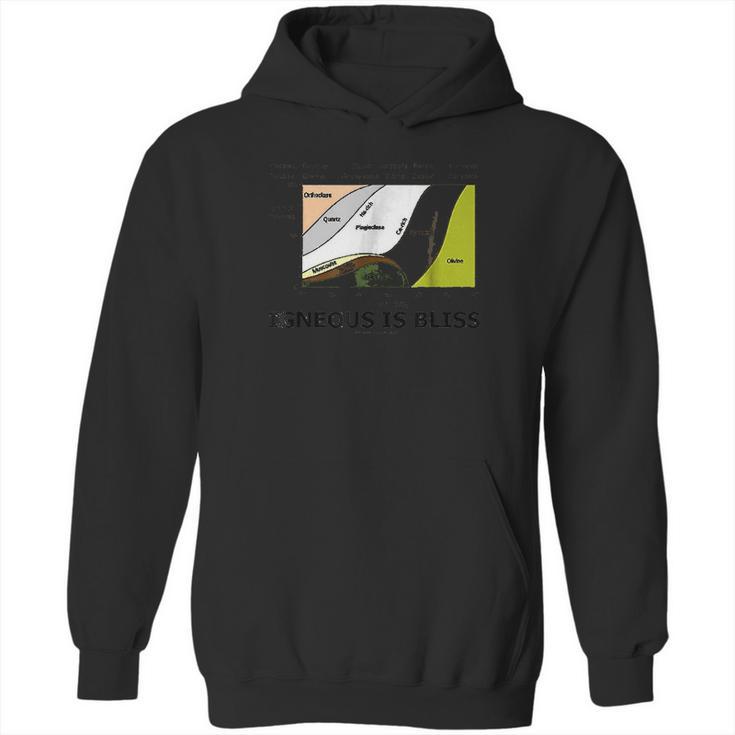 Igneous Is Bliss Geology Rock Geek Humor Hoodie