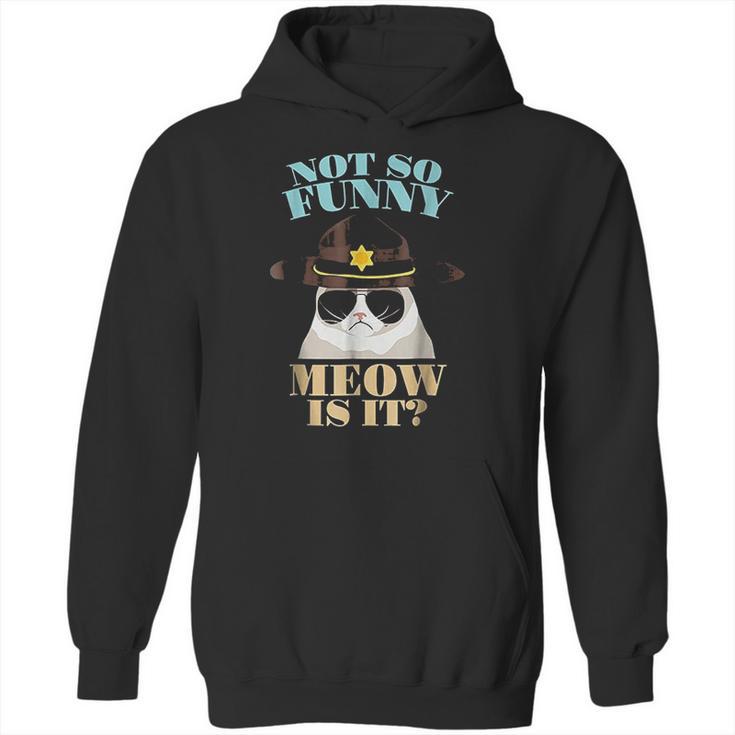 Super State Trooper Cat Not So Funny Meow Is It Gift Hoodie