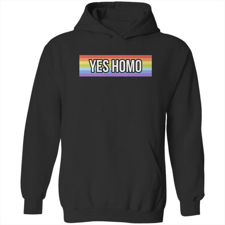 Yes Homo Gift Funny Gay Pride Month Meaningful Gift Graphic Design Printed Casual Daily Basic Hoodie