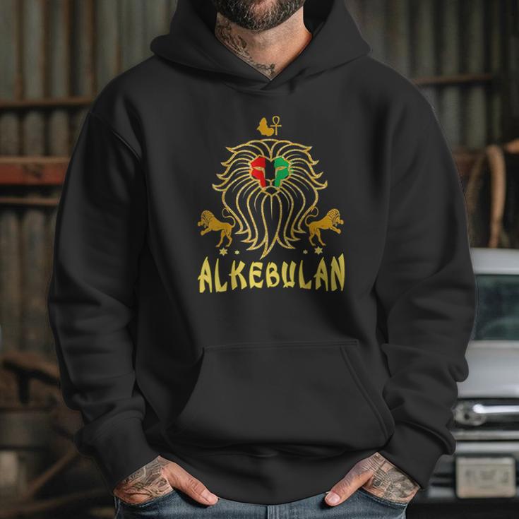 African Lion Rbg Ankh Hoodie Gifts for Her