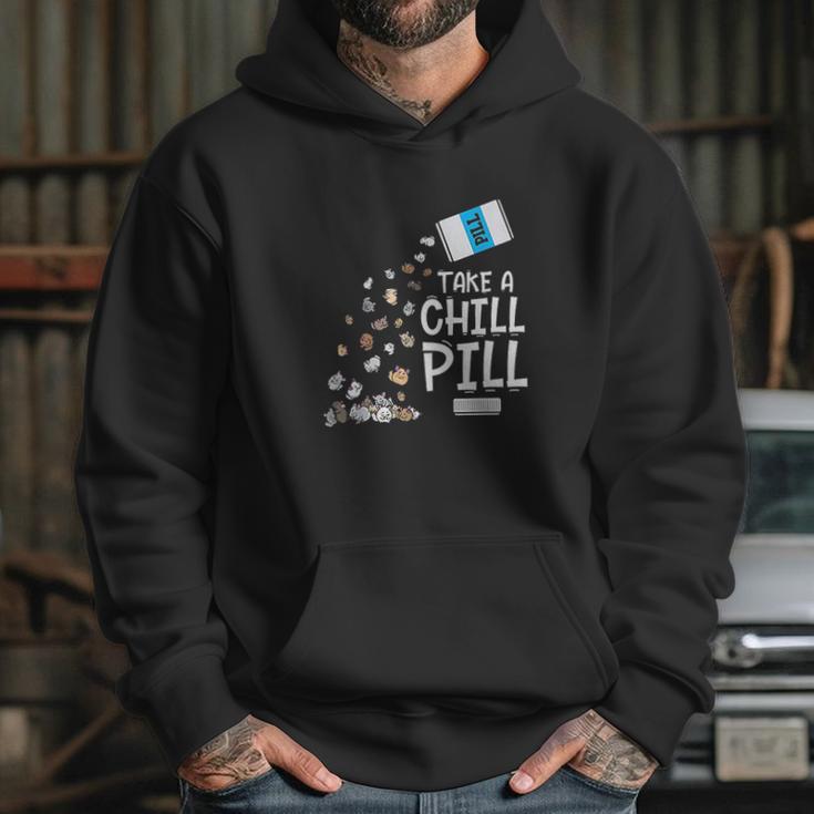 Animal Meme Gift Chill Pill Pun Chinchilla Hoodie Gifts for Her