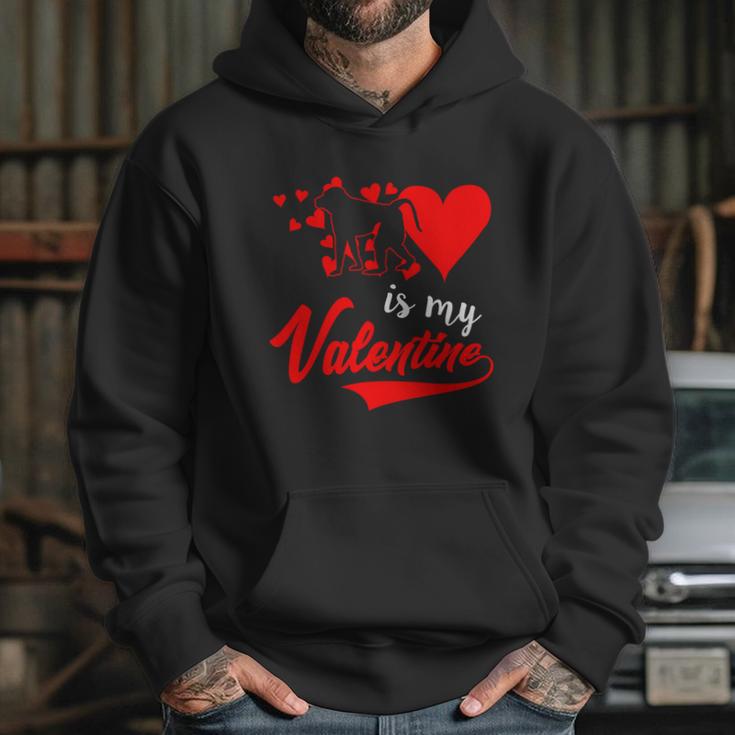 Baboon Is My Valentine Hoodie Gifts for Her