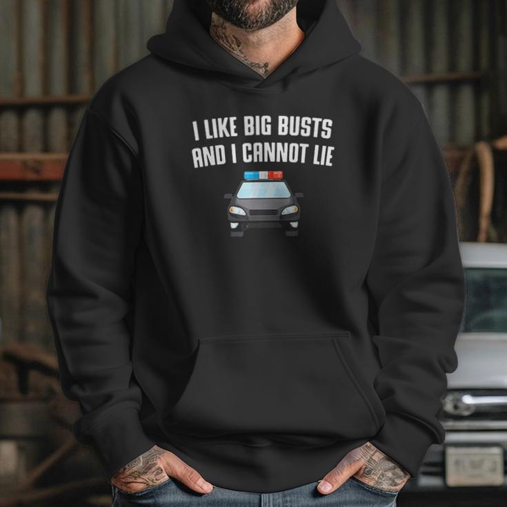 I Like Big Busts And I Cannot Lie Funny Hoodie Gifts for Her