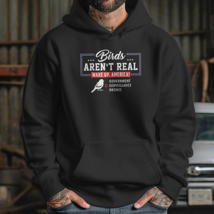 Birds Arent Real Wake Up America Conspiracy Theory Hoodie Gifts for Her