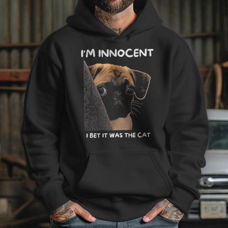 Im Innocent I Bet It Was The Cat Funny Guilty Cute Pug Hoodie Gifts for Her