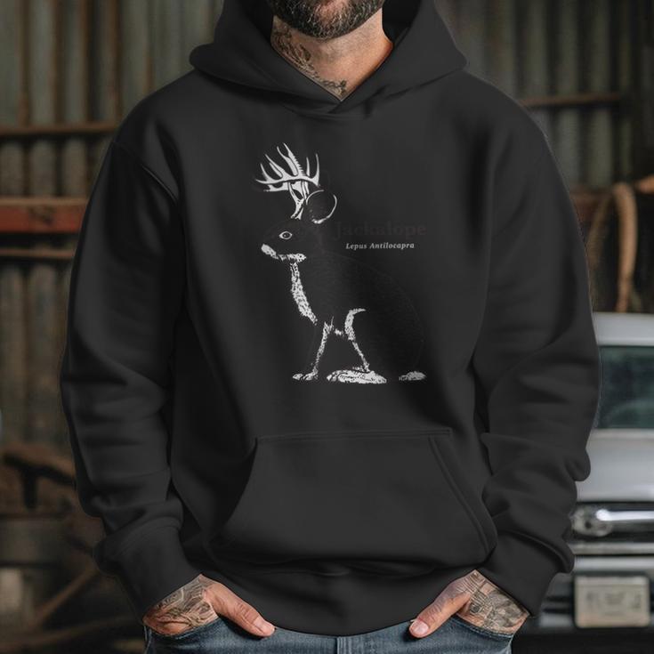 Jackalope Folklore Cryptozoology Jackrabbit Hoodie Gifts for Her