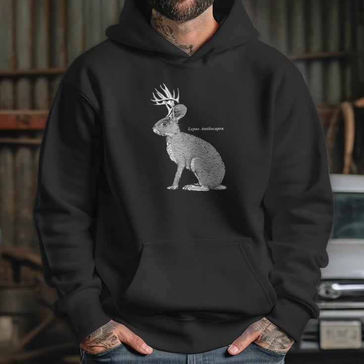 Jackalope Funny Rabbit Hoodie Gifts for Her