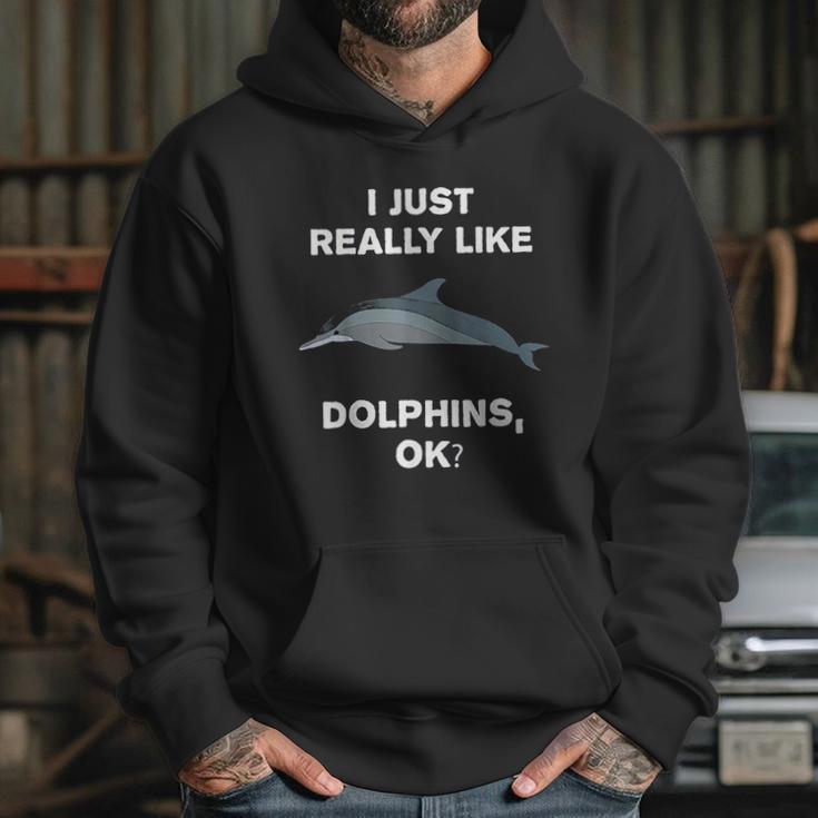 I Just Really Like Dolphins Ok Funny Dolphin Hoodie Gifts for Her