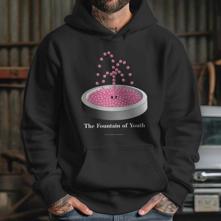 Pickleball Fountain Pink Hoodie Gifts for Her